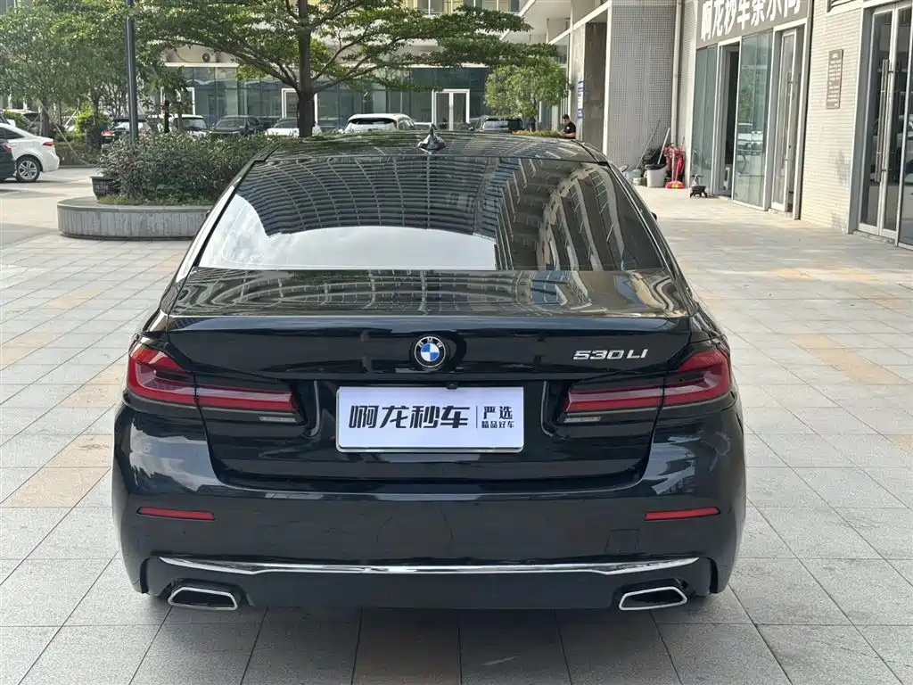 BMW 5 Series 2021 530Li Leading Luxury Package фото 5