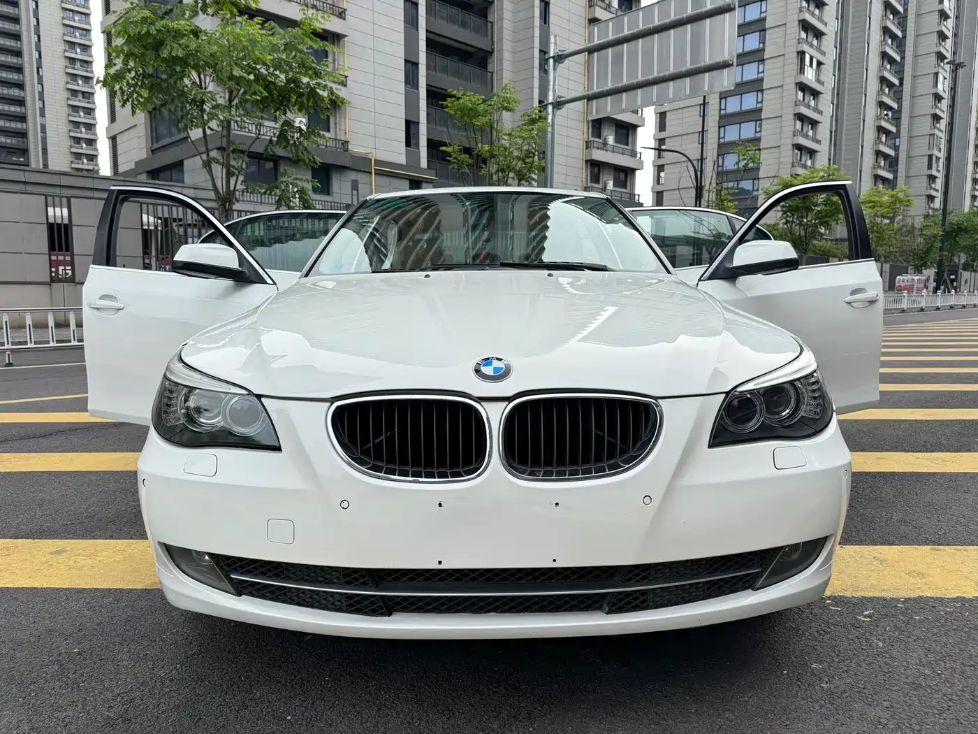 BMW 5 Series 2009 520Li Premium фото 2