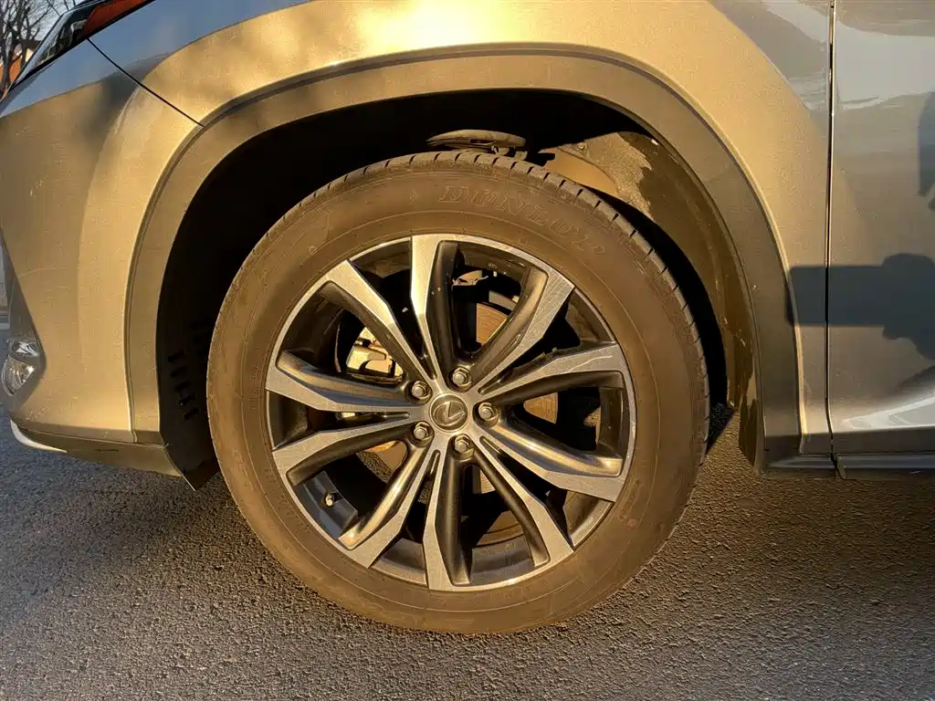Lexus RX 2020 300 4WD Elegance Edition China VI фото 9