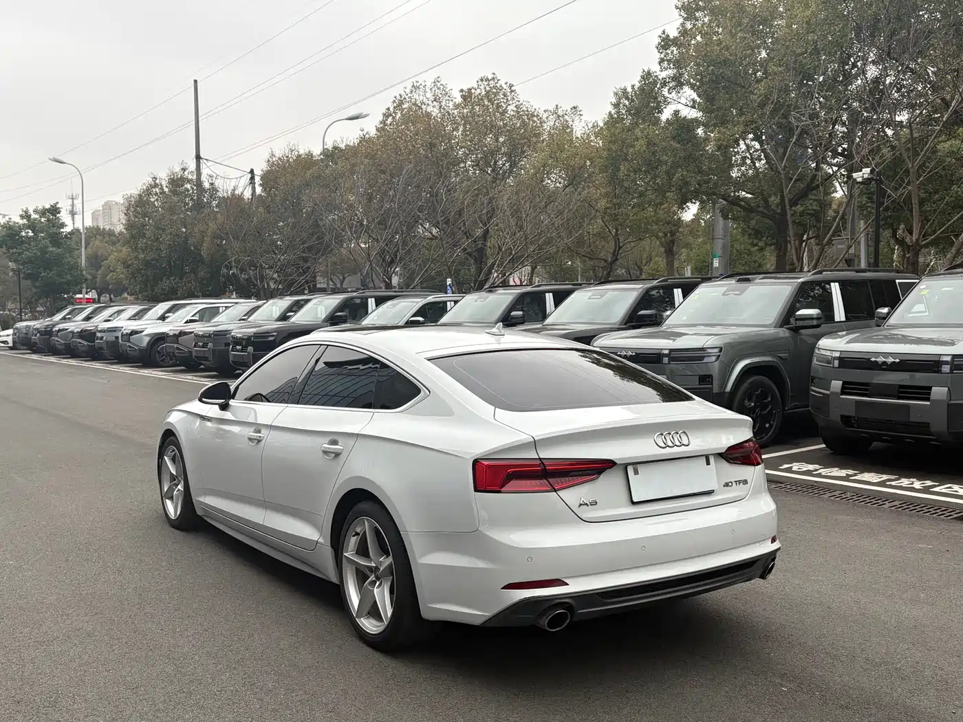 Audi A5 (Import) 2017 Sportback 40 TFSI Fashion фото 14