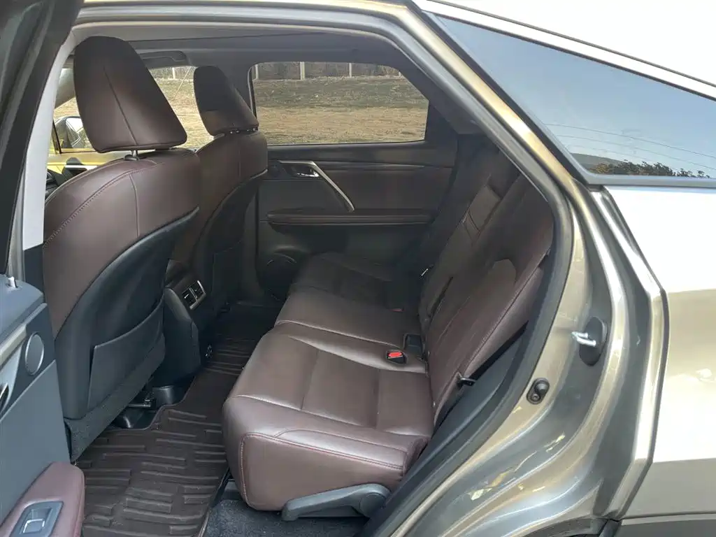 Lexus RX 2020 300 4WD Elegance Edition China VI фото 16