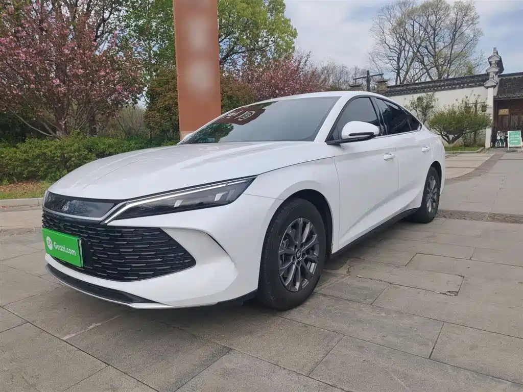 BYD Qin L 2024 DM-i 80KM Leading Edition