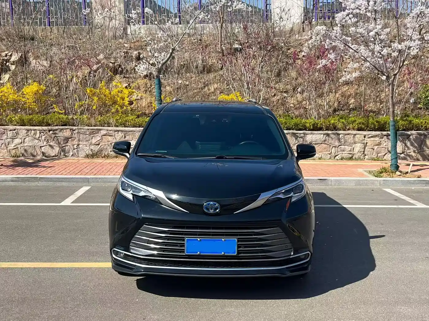 Toyota Sienna 2021 2.5L Hybrid Premium Edition фото 2