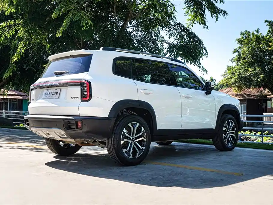 Haval Big Dog 2024 Model 1.5T DCT Labrador Edition фото 6