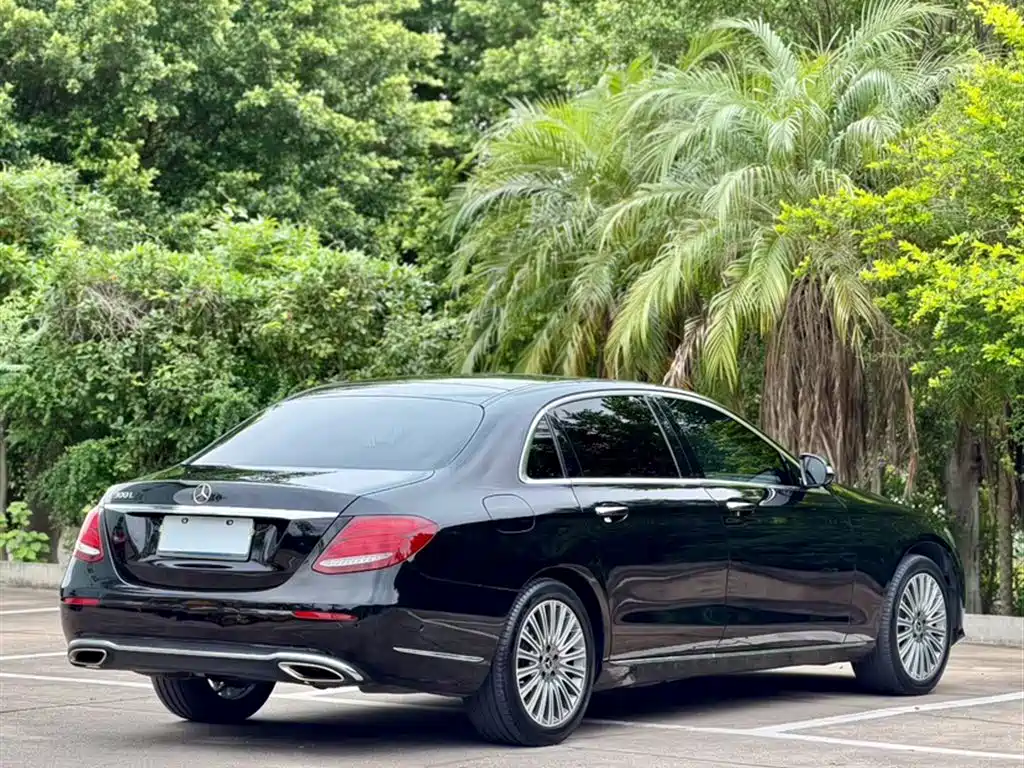 Mercedes-Benz E-Class 2020 E 300 L Luxury Model фото 6