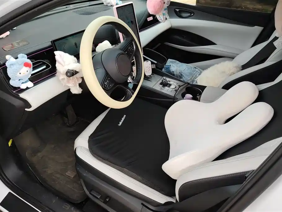 BYD Seal 06 New Energy 2024 DM-i 80KM Luxury фото 9