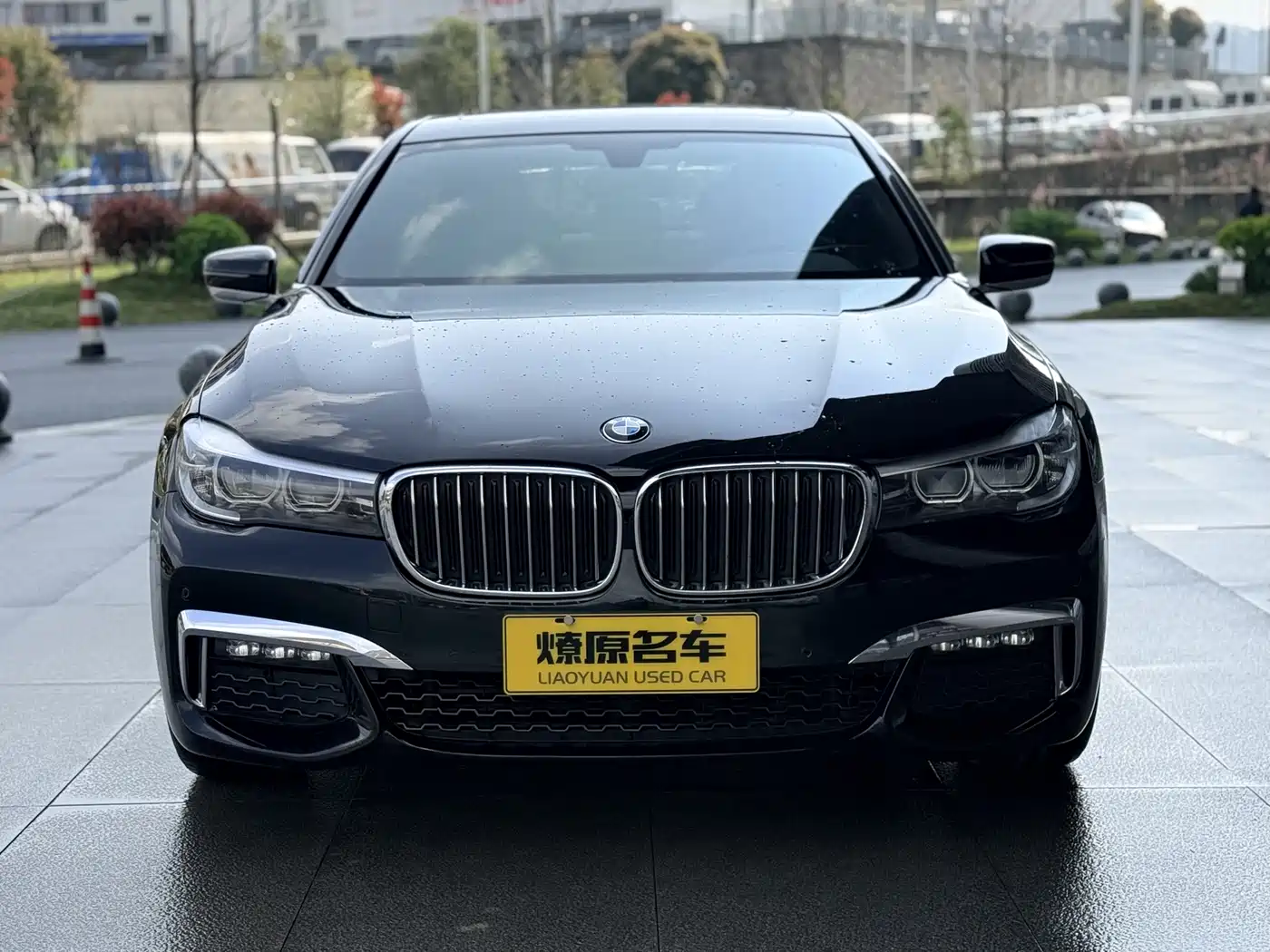 BMW 7 Series 2018 730Li Leading Type M Sport Package фото 2