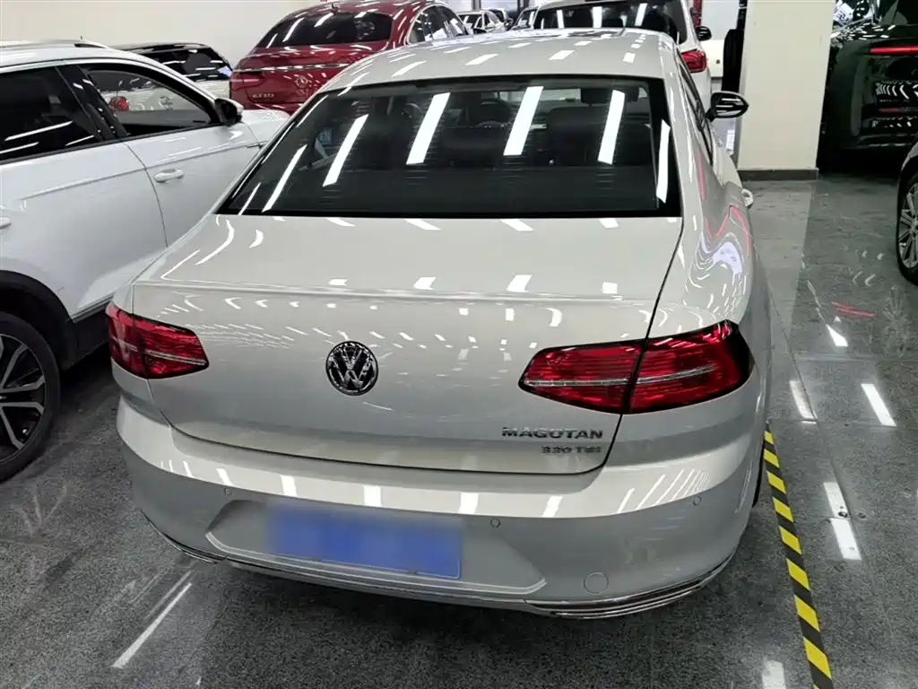 Volkswagen Magotan 2019 330TSI DSG Leading China V фото 6