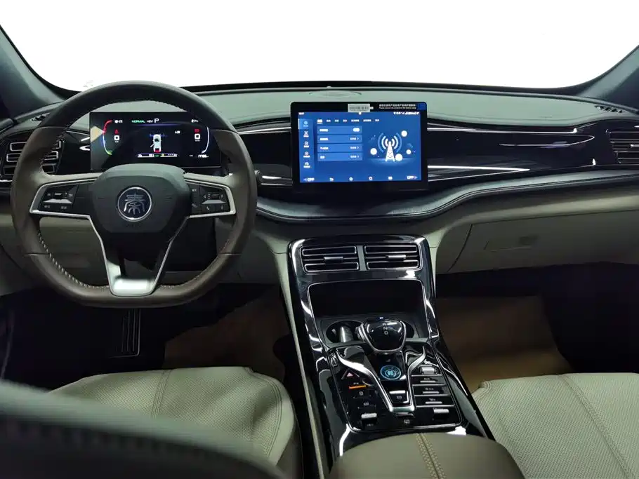 BYD Qin PLUS 2023 Champion Edition DM-i 55KM Leading фото 12