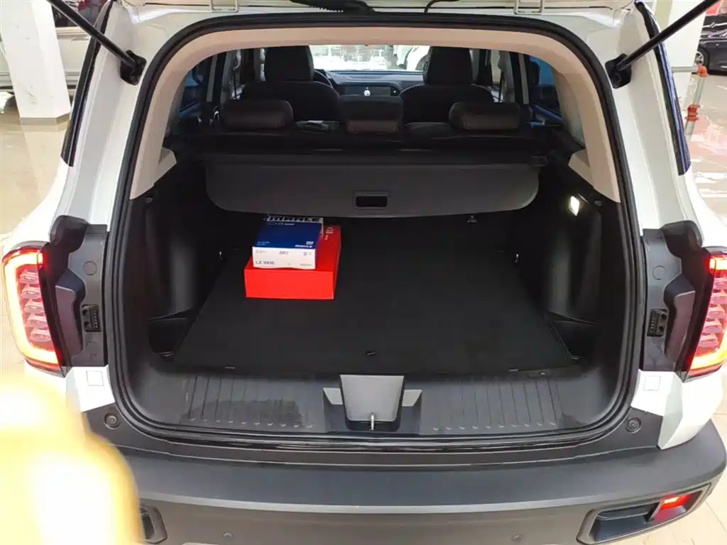 Haval Big Dog 2021 1.5T DCT 2WD Border Collie - Wangcai Edition фото 19