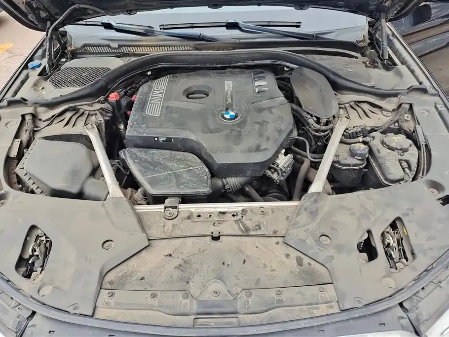 BMW 5 Series 2020 530Li xDrive Luxury Package фото 10
