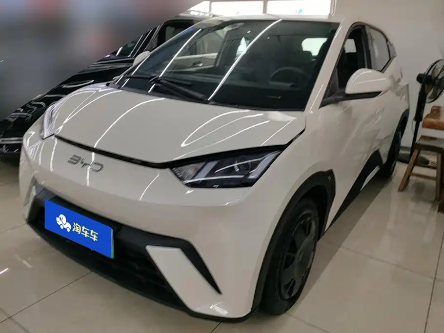 BYD Seagull 2025 Smart Drive Edition 305km Vitality Version