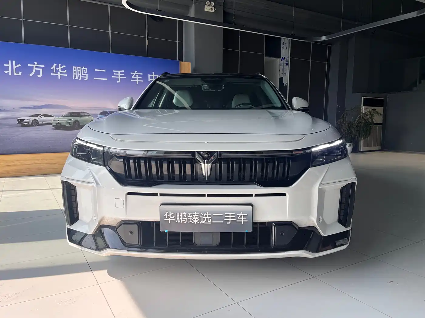 Voyah Auto VOYAH FREE 2025 318 259km 4WD Explorer Edition фото 2