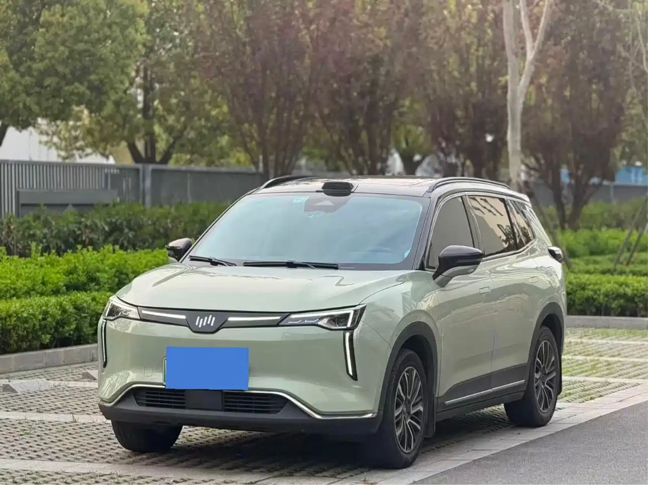 Weltmeister WEIMA W6