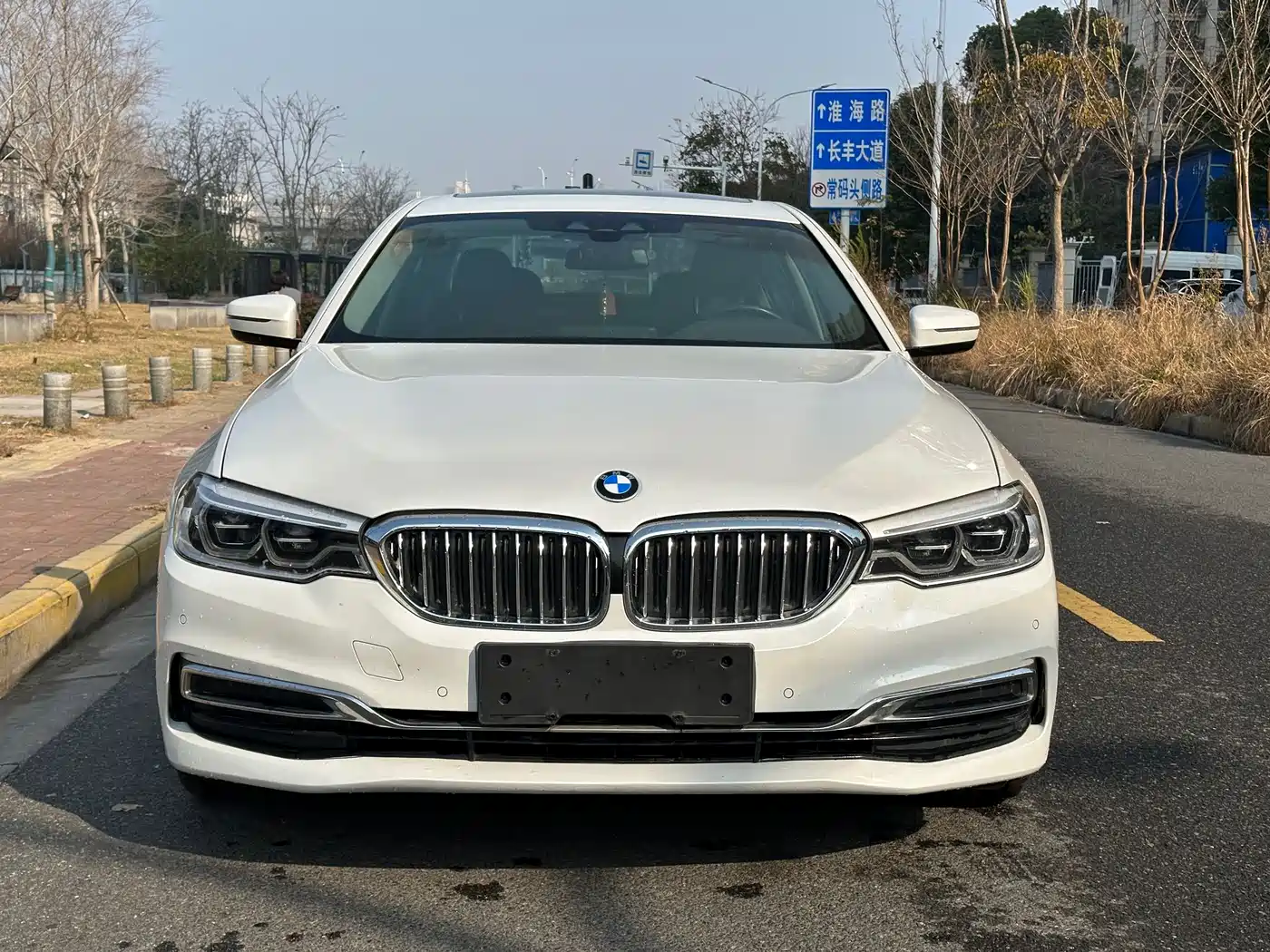BMW 5 Series New Energy 2020 530Le Luxury Package фото 2