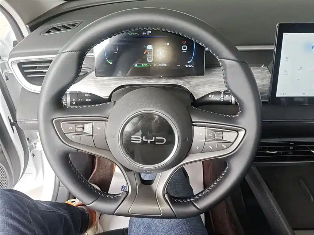 BYD Hai Bao 05 DM-i 2025 DM-i Smart Drive Edition 55KM Luxury фото 11