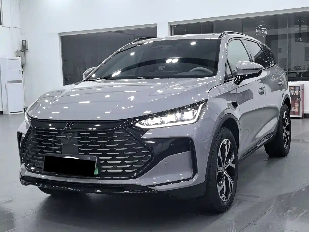BYD Tang New Energy 2025 Smart Driving Edition DM-i 115KM Flagship