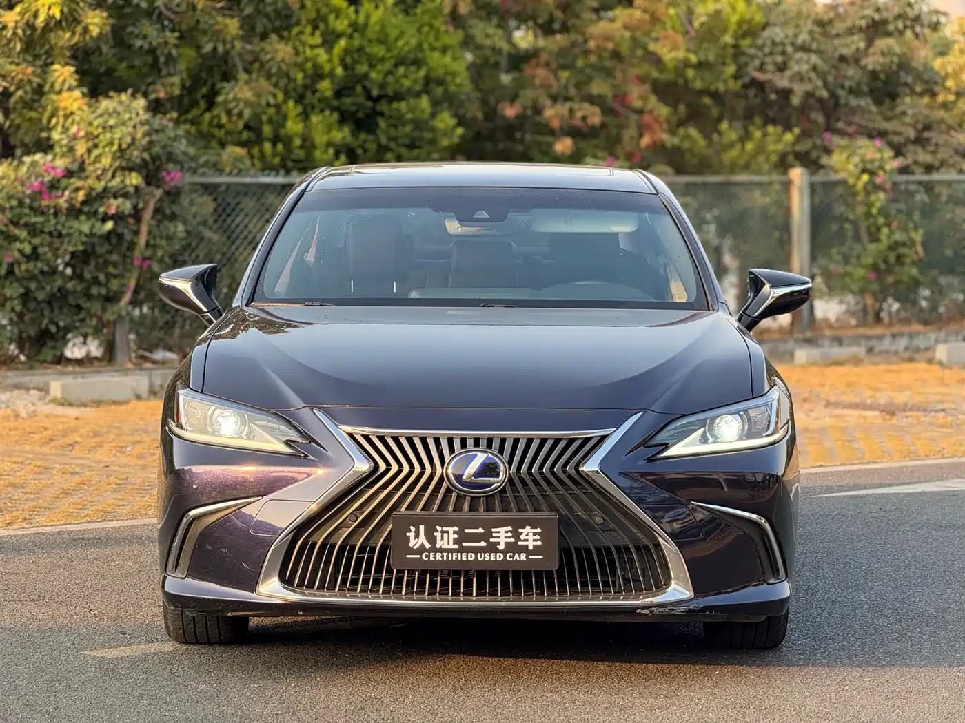Lexus ES 2018 300h Excellence Edition China V фото 2