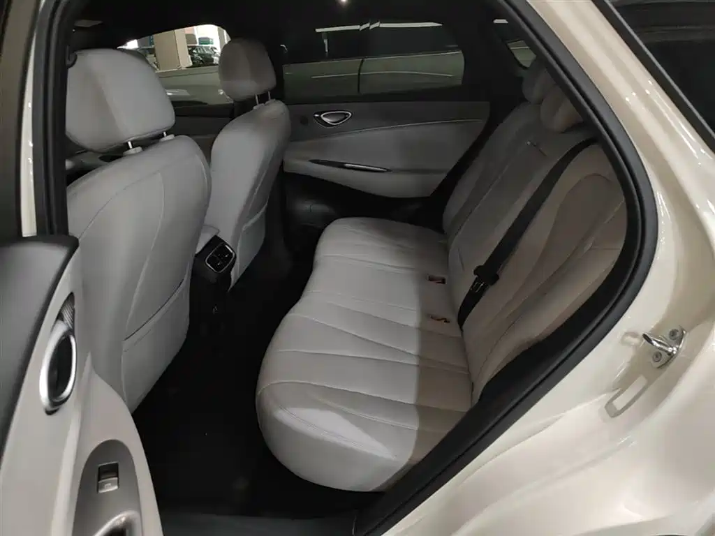 BYD Sealion 06 New Energy 2025 DM-i 170 Pilot Pro Edition фото 17