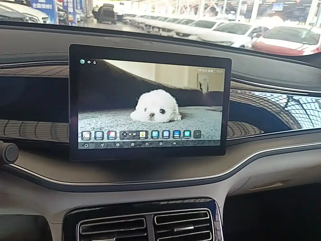 BYD Qin PLUS 2021 DM-i 55KM Premium фото 13