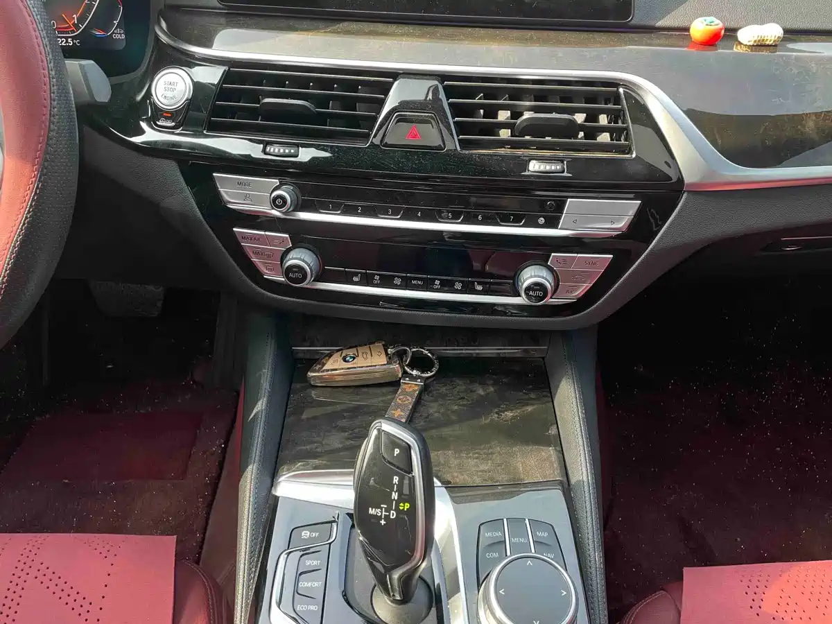 BMW 5 Series 2020 Model 530Li xDrive M Sport Package фото 8