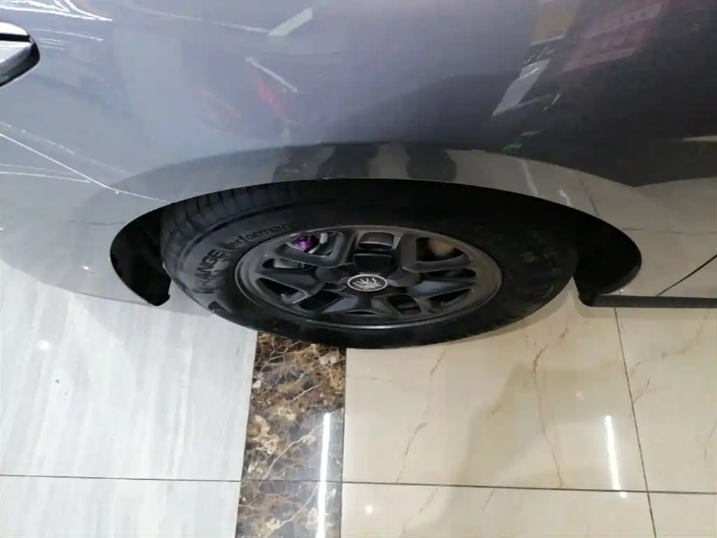 BYD Qin PLUS 2025 DM-i Smart Drive 55KM Leader фото 23