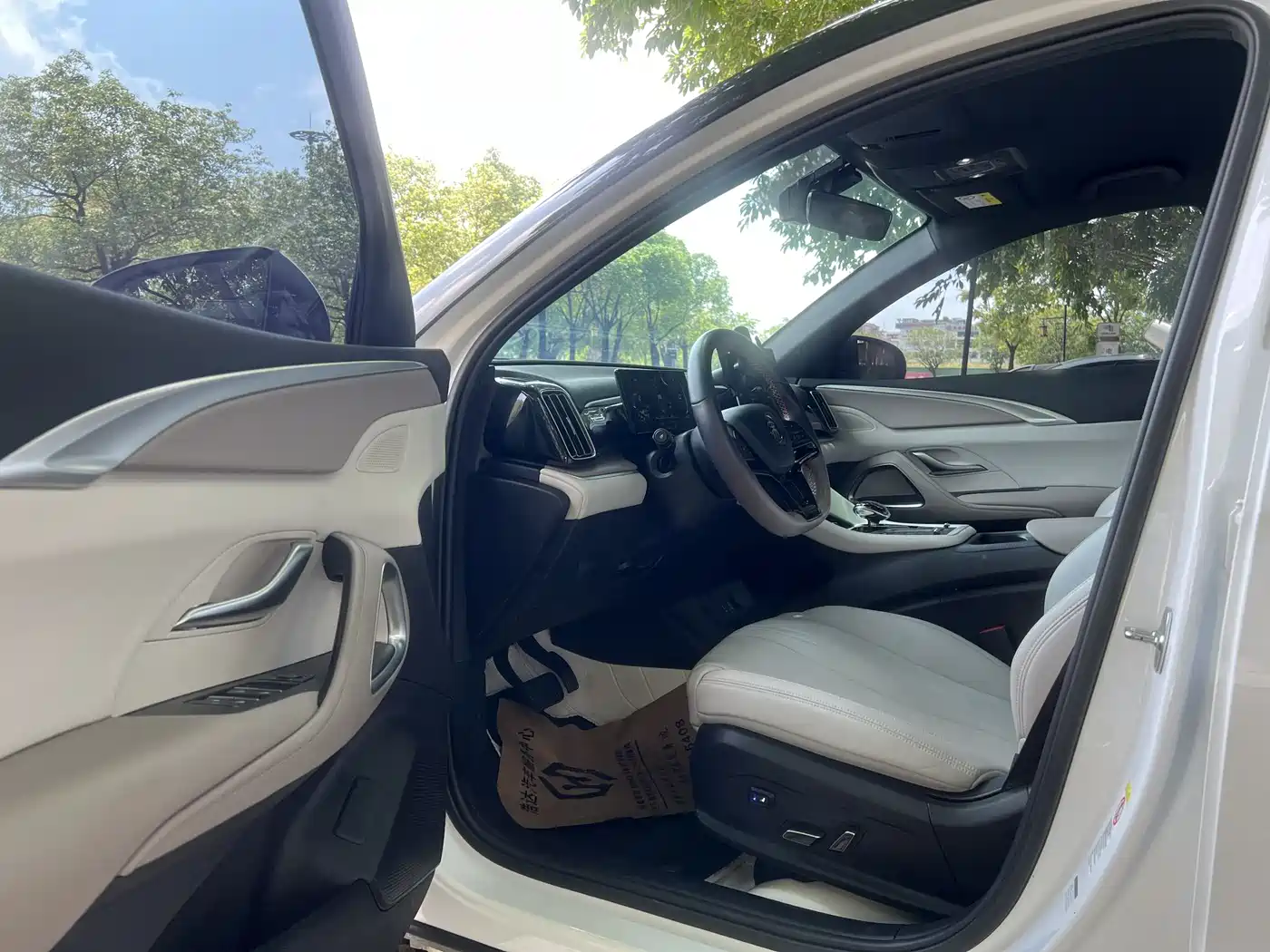 BYD Song Pro New Energy 2024 Glory Edition DM-i 71KM Leading фото 4