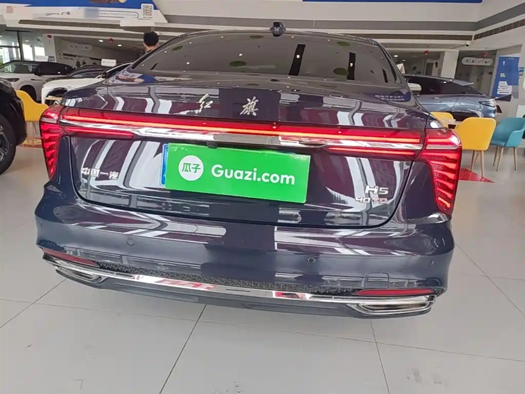Hongqi H5 2024 2.0T Automatic Smart Connect Flag Leader Edition фото 6
