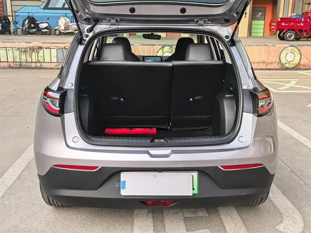 Geely Galaxy Starry Wish 2025 410km Freedom Edition фото 16