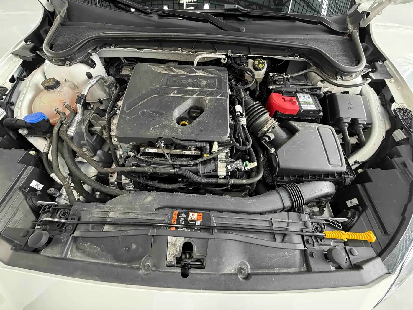 Ford Focus 2022 2021 Sedan EcoBoost 180 Auto Trend
