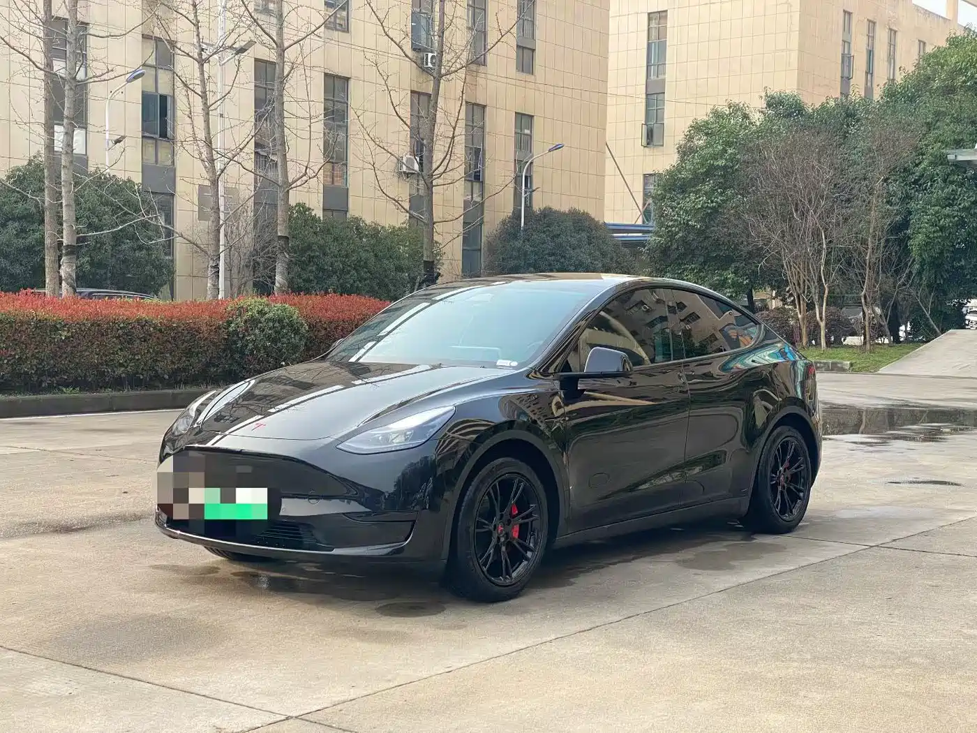 TESLA MODEL Y