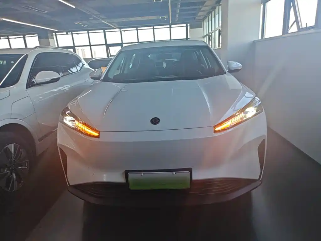 Фото 3 - Dongfeng Aeolus SKY EV01