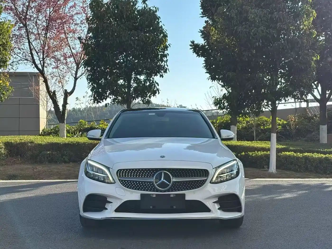 Mercedes-Benz C-Class 2020 C 260 L Sport фото 2
