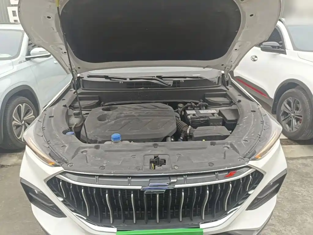 Фото 20 - Changan Oshan Changan Oushang X5