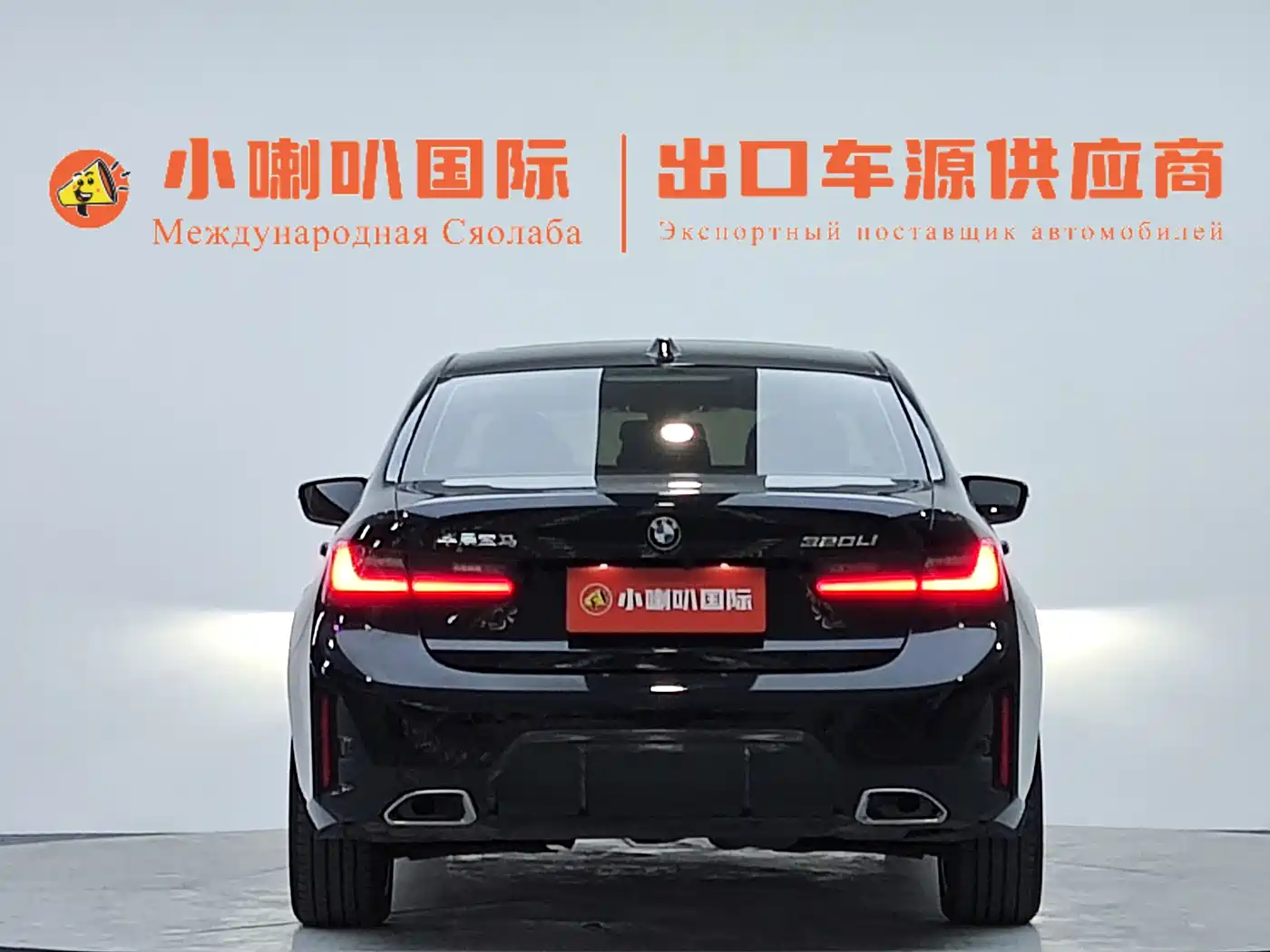 BMW 3 Series 2023 320Li M Sport Package фото 6