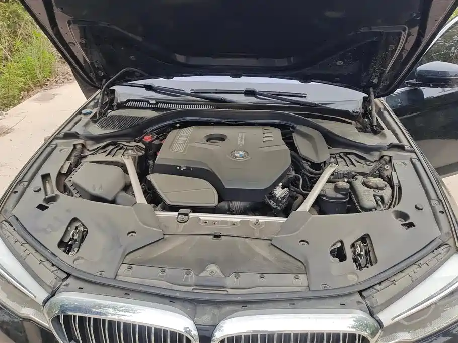 BMW 5 Series 2020 530Li Leading M Sport Package фото 10