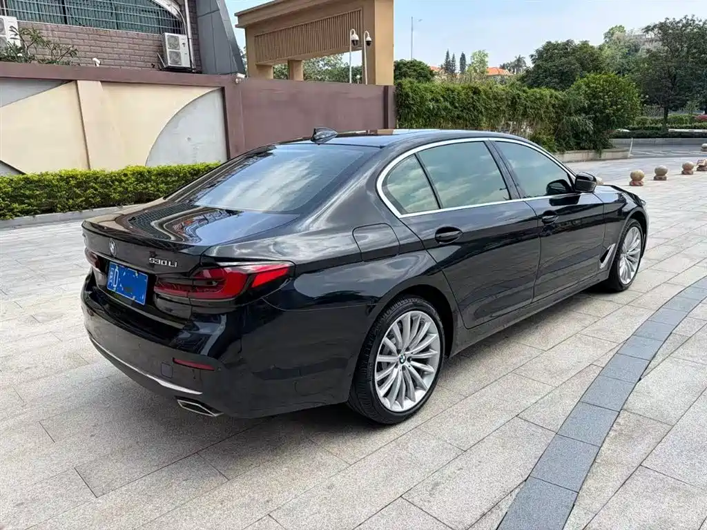 BMW 5 Series 2022 Facelift II 530Li Luxury Trim Premium Package фото 9