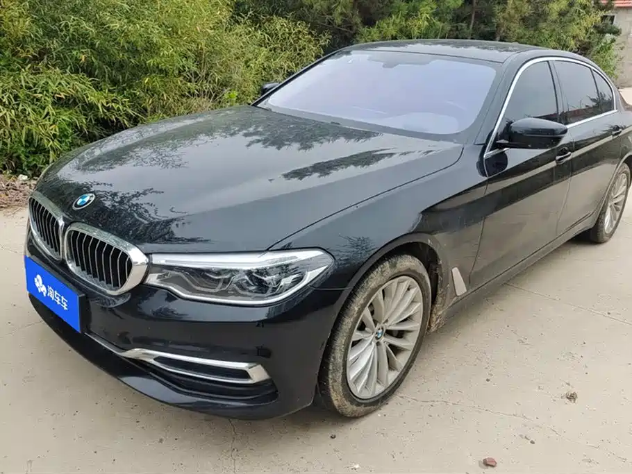 BMW 5 Series 2020 530Li Leading M Sport Package