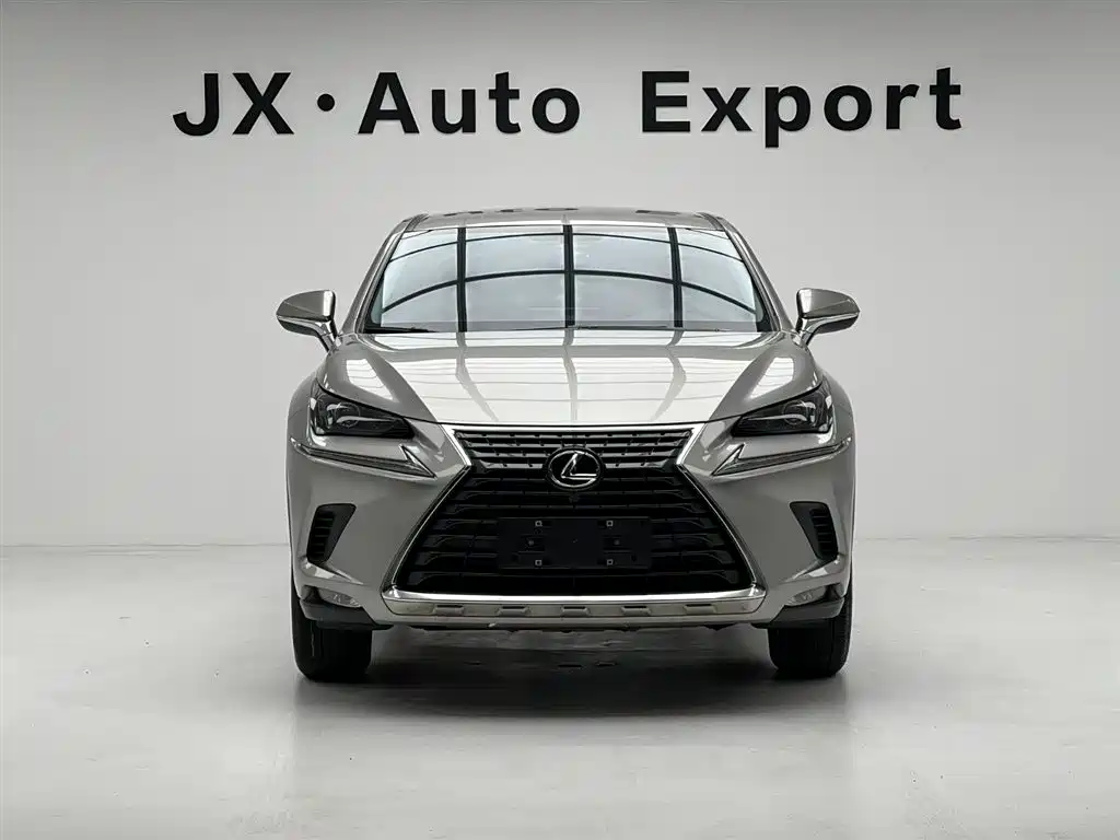 Lexus NX 2020 200 FWD Fengyi Edition China VI фото 2