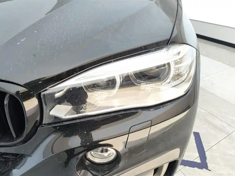 BMW X5 (Import) 2017 xDrive35i Leading Edition фото 5