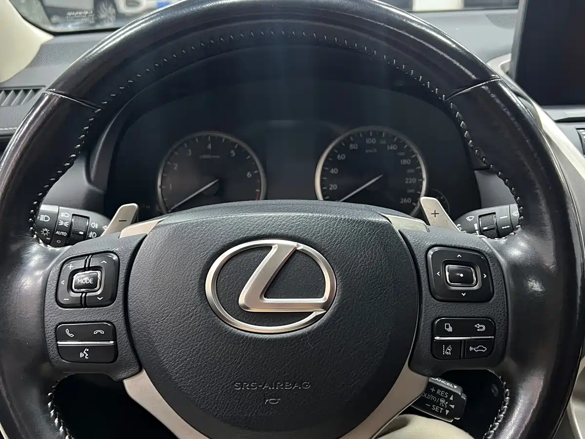 Lexus NX 2020 200 AWD F Sport China V фото 10