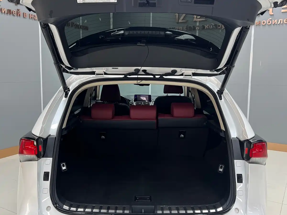 Lexus NX 2020 200 AWD F Sport China V фото 25