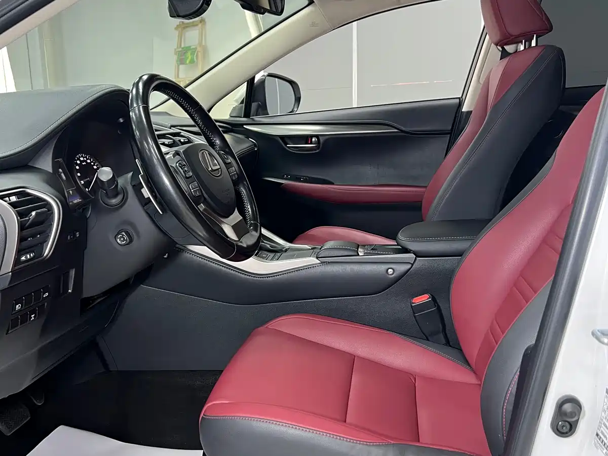 Lexus NX 2020 200 AWD F Sport China V фото 17