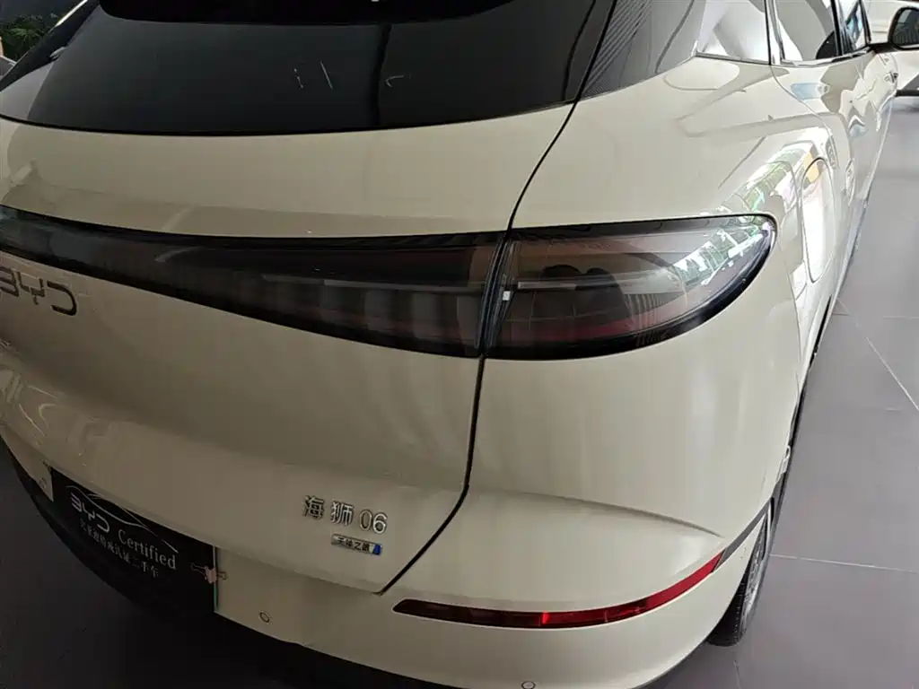 BYD Sealion 06 New Energy 2025 DM-i 170 Pilot Pro Edition фото 8