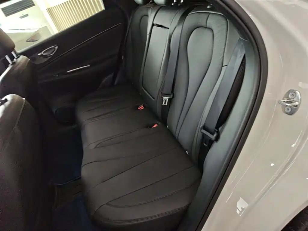 BYD Sealion 06 New Energy 2025 DM-i 170 Pilot Pro Edition фото 17