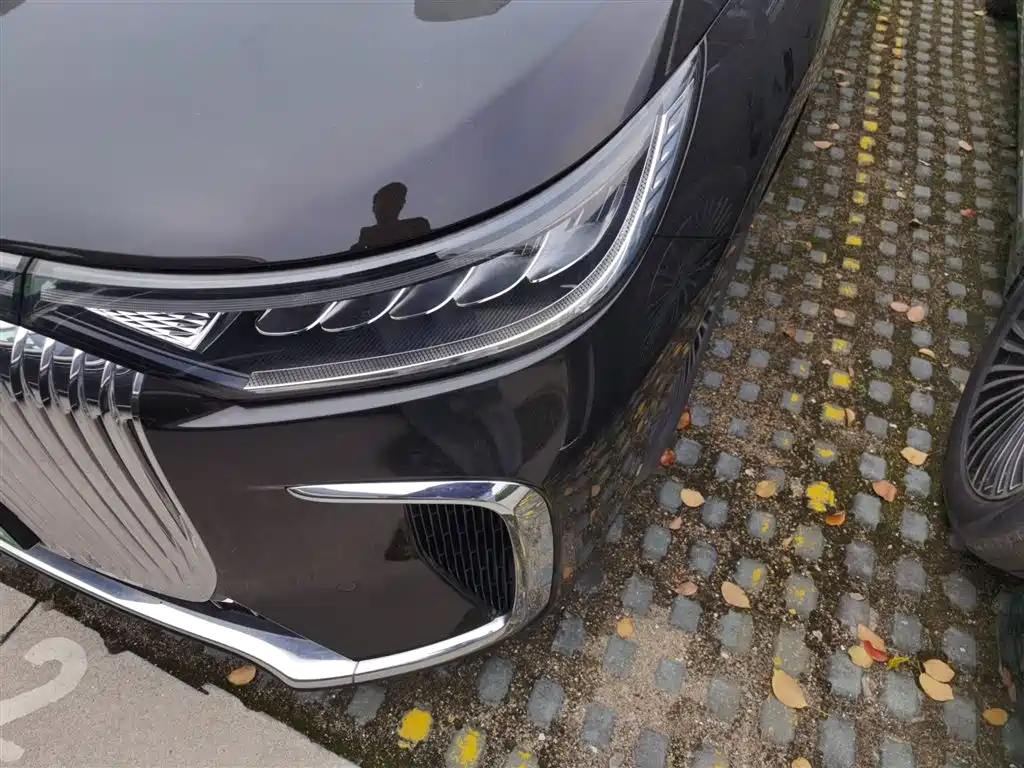 Voyah Auto Voyah Dreamer 2025 PHEV AWD Flagship Kunpeng Edition фото 24