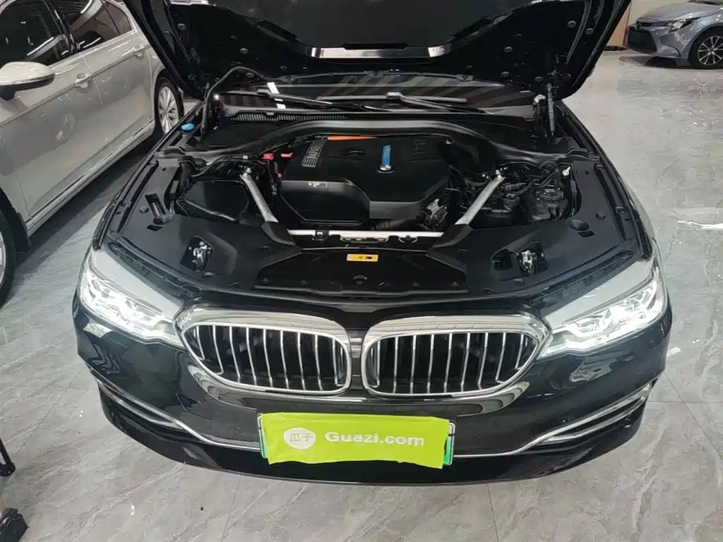 BMW 5 Series New Energy 2019 530Le Luxury Package фото 20
