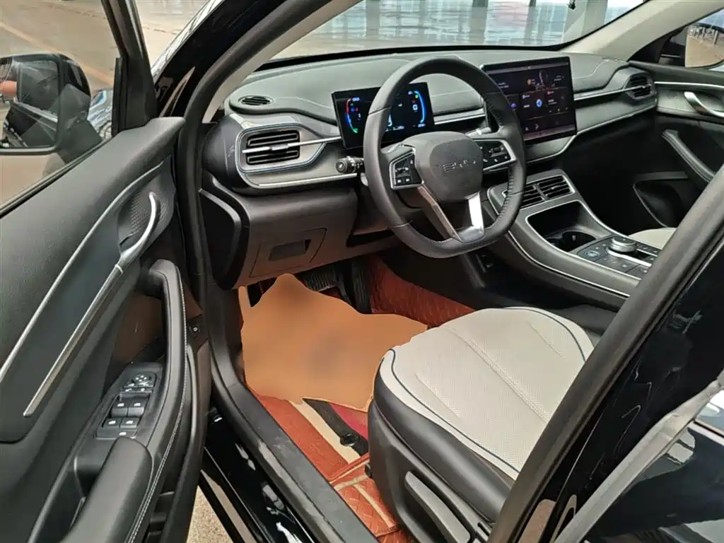 BYD Destroyer 05 2024 Glory Edition DM-i 55KM Luxury фото 16