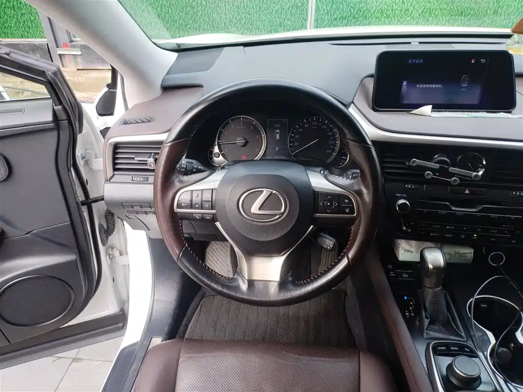 Lexus RX 2016 300 4WD Elegance Edition (China V) фото 3
