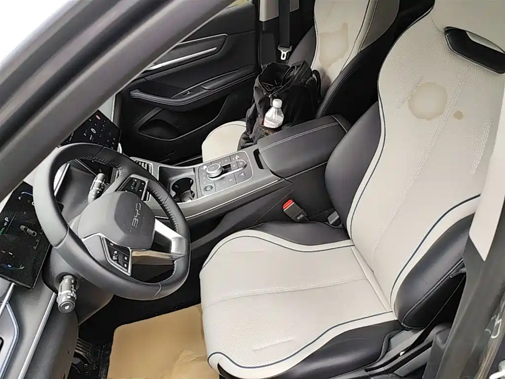 BYD Destroyer 05 2024 Glory Edition DM-i 55KM Luxury фото 22